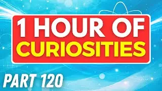 1 HOUR of INSANE FACTS That Will SHOCK You 😲