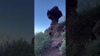 Mushroom Rock 🍄