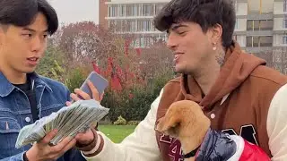 MONEY OR SUPER CUTE PUPPY? @giuseppebarbuto #shorts