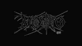 APEE &mdash; MONO (LYRIC VIDEO)