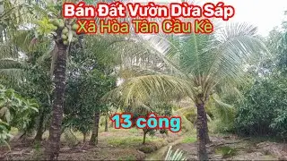 Thành Hiếu Nhà Đất Cầu Kè, Trà Vinh. Bán Đất Vườn Dừa Sáp DT 13 công. Giá 2,6 tỷ. Xã Hòa Tân