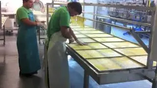 Making Yuba at Hodo Soy Beanery