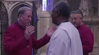 Primates' Meeting 2017 - preview