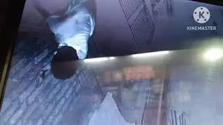 Чор на шоссе Димапур...если вы его знаете😁
