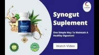 Best market sell SynoGut: SynoGut  2022