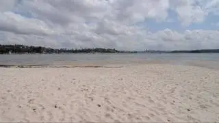 Rose Bay Beach