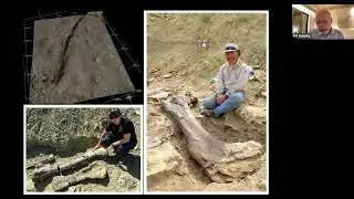 FIP PHYSICS MATTERS: When imaging life in deep time by Phil Manning