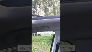 Spotting animals like this feel extra special
