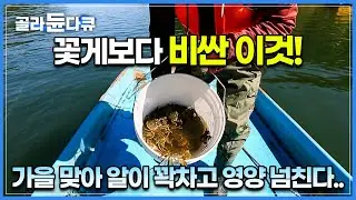 임진강 어부의 가을 참게잡이│영양분 많고 알이 꽉 찬 가을 참게의 맛│국물 맛이 일품이라는 참게 매운탕│경기도 연천│한국기행│#골라듄다큐