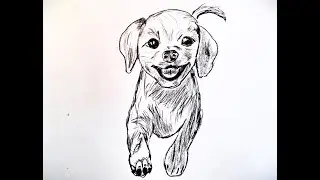 Easy Drawing Exercises for Beginners , Drawing of a happy puppy