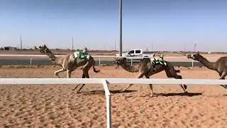 ش 11 بكار حقايق ضوء ل حابس سعيد الشمري 