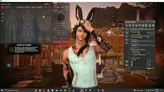 Anamnesis Walkthrough!