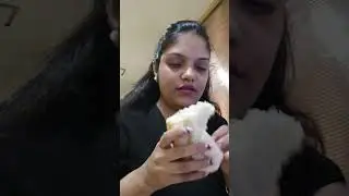 kunj vihar jumbo vadapav 😋 #shorts #ytshort #vadapav #kunjvihar #foodie #thane #maharashtra