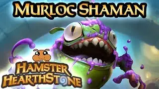 [ Hearthstone S62 ] Murloc Shaman - Rise of Shadows