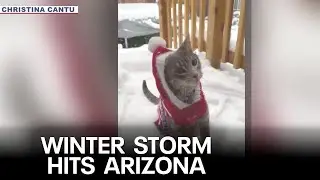 Winter storm brings heavy snowfall to northern Arizona