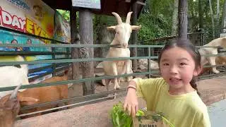 Sunway Pet Village: Top 5 Fun and Interactive Activities for Kids To Do With Friendly Animals