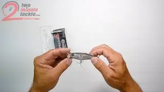 2MT: LiveTarget: Popping Mullet
