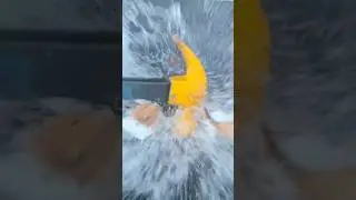 Crushing a Coconut with a Hammer 🥥💥#coconut #viral #smashing