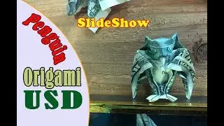 Origami dollar penguin - money / xếp chim c&aacute;nh cụt tiền đ&ocirc;