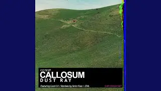 Dust Ray