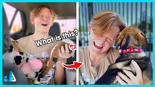 When You Adopt A Puppy For Your Kids 🐶 New Puppy Surprise Compilation
