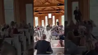 deer crash wedding!