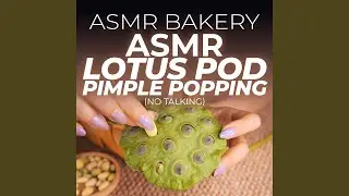 Dried Lotus Pod Slice