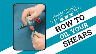 How to Oil Grooming Shears Properly | Sharp Edges