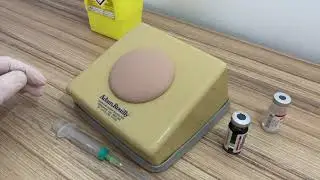 AR18 INTRAMUSCULAR INJECTION SIMULATOR