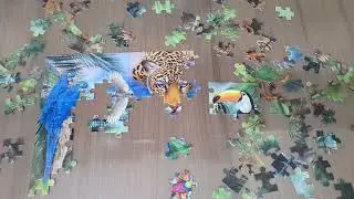 MONTANDO QUEBRA-CABE&Ccedil;A 150 PE&Ccedil;AS FAUNA BRASILEIRA DA GROW PARTE 1 de 2 puzzle 150 pcs