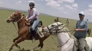 Offbeat Safaris Extended Version