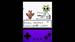 Pok&eacute;mon fools gold 2