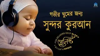 সুন্দর কুরআন তিলাওয়াত প্লেলিস্ট গভীর ঘুমের জন্য। PEACEFUL QURAN PLAYLIST FOR NIGHT - Alaa Aqel