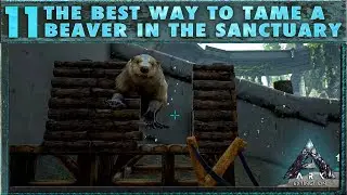 11: The Best Way to Tame a Beaver in the Sanctuary (Easy Tame!) - The Ark Extinction Survival Guide