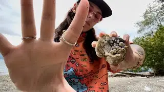 Healing Hand Movements, Shells, and Waves🌊 ASMR Outdoors🐚⛱️