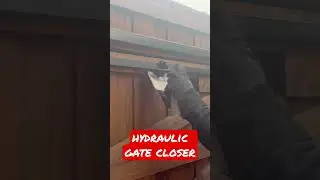 hydraulic gate closer #diy #shorts #irongate #fence #homeimprovement #construction
