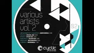 Hermannstadt Collective - Andromeda / Cyclic Records Vol. 2