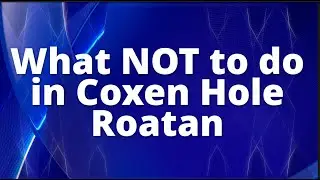 What NOT to do in Roatan