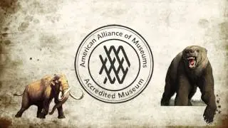 Mammoth Site Commercial