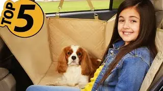 TOP 5 Best Dog Seat Cover of 2024