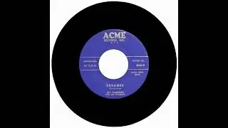 JAY FANNING AND THE TWILIGHTS - DREAMER