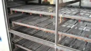 egg tray machine multi layer drying line