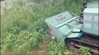 23 июня 2024 г.