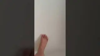 壁の上を歩いてる？！？💀