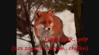 Animals Voices