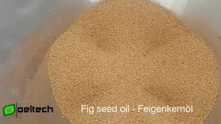 Feigenkern&ouml;l pressen - Pressing fig seed oil