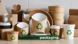 Biodegradable Wrapping Paper | Eco-Friendly Food Packaging | Disposable Food Packaging