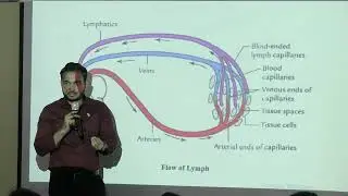 Lecture on Lymphatic System Histology: Lymph Node, Spleen & Thymus Explained | MBBS | TSMC