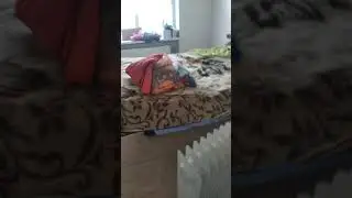 можно мне +100 падпищиков за 20 дней