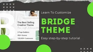 Bridge Theme Customization | Theme Option | Codershub-BD